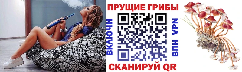 Галлюциногенные грибы прущие грибы  Петушки 